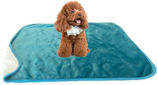 Bucephalus Waterproof Dog Blanket 25"×35")