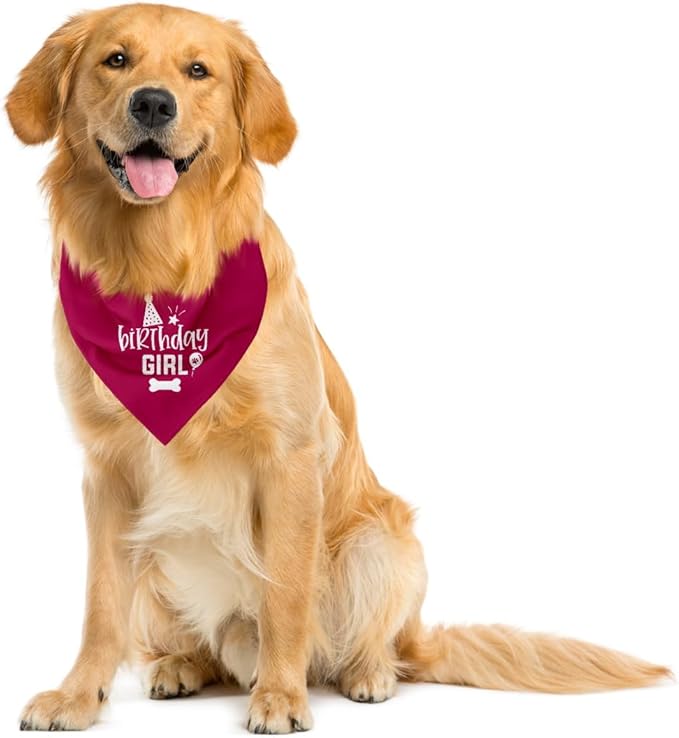 Dog Birthday Bandana (A24)