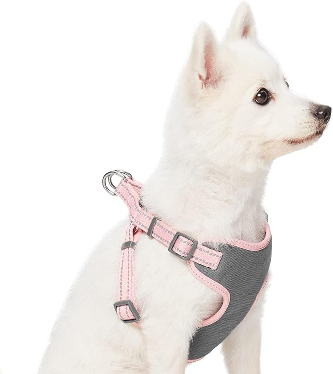 Blueberry Pet Essentials Pastel Color Reflective Matching Dog Harness Vest and Leash Set in Baby Pink, Adjustable Harness with 5 ft Leash for Medium Dogs