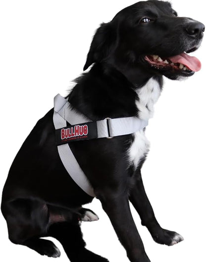 BULLHUG Harness – Made for Larger Chested Dogs Like English Bulldogs