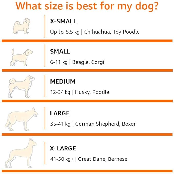 Amazon Basics Cooling Elevated Dog Bed with Metal Frame 36 x 22 x 7.5 Inch,