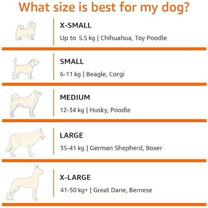 Amazon Basics Cooling Elevated Dog Bed with Metal Frame 36 x 22 x 7.5 Inch,