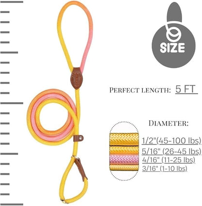 Slip Leads for Dogs (5 Foot 1/2")