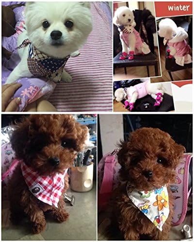 PET SHOW 10pcs Boys Small Dog Bandanas Male