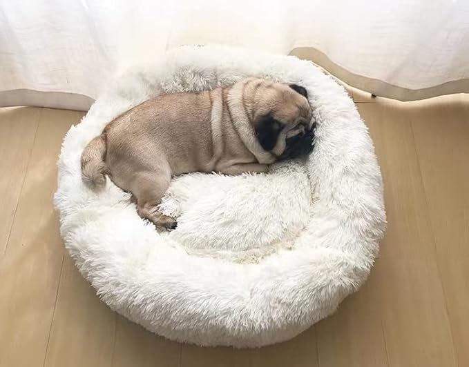 Geizire Dog Bed for Small and Medium Dogs