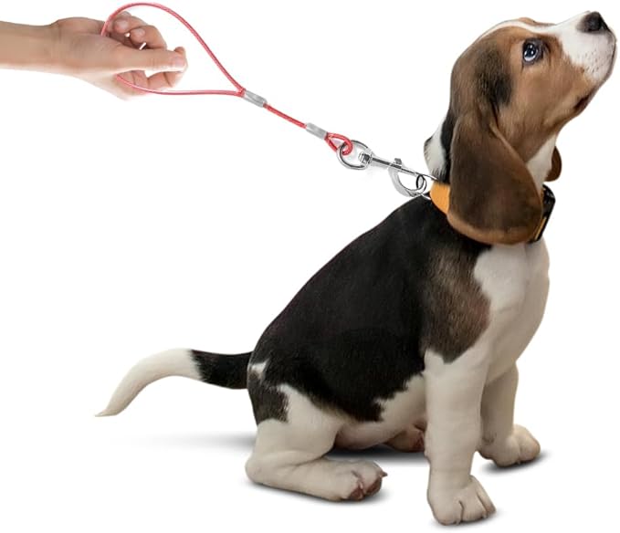 Short Dog Leash Duty-12”/24”Short Chew