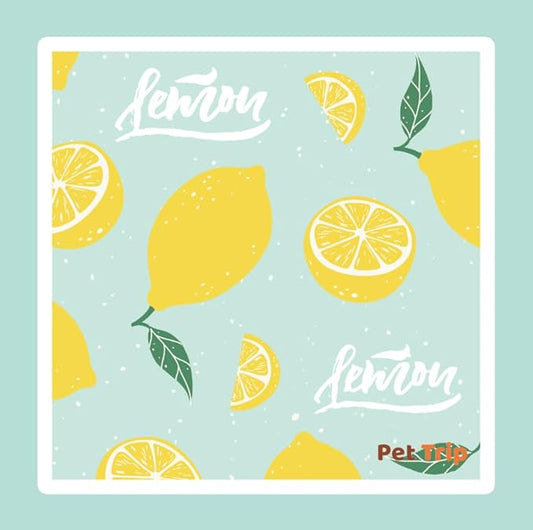 PetTrip Cooling Mat for Dogs & Cats