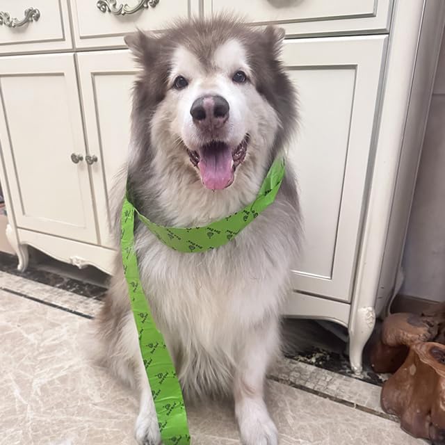 Dog Poop Bags Rolls with Handles 40 Rolls 480 Counts