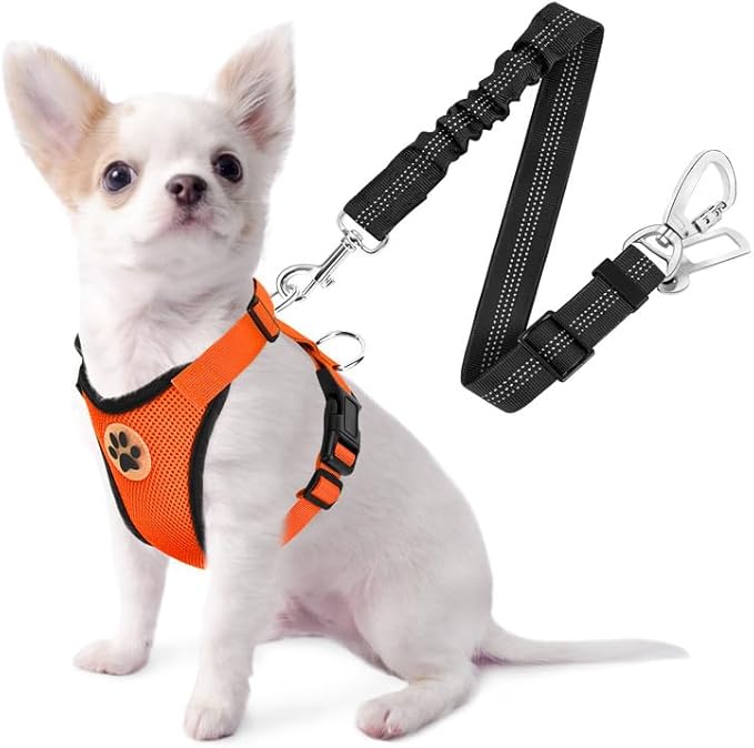 SlowTon Dog Seat Belt Harness for Car, Dog Car Harness Adjustable Mesh Breathable & Dog Seatbelt Safety Tether with Elastic Bungee for Small Medium Large Pets(Orange, Double Clip, XXS)