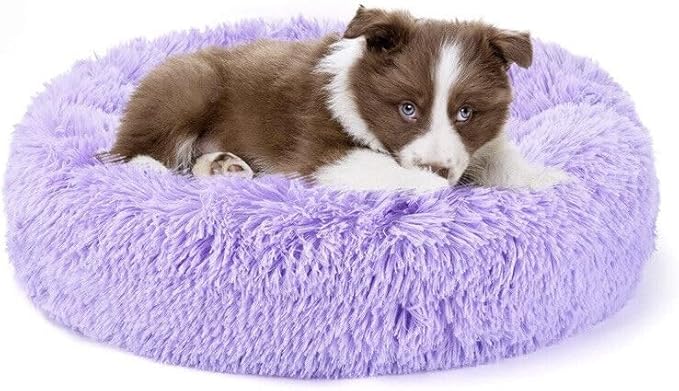 Cat Beds for Indoor Cats 20/24 inches,