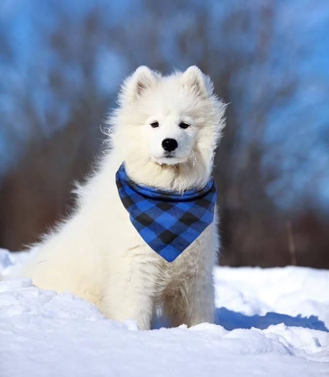 Birthday Plaid Dog Bandana with Button