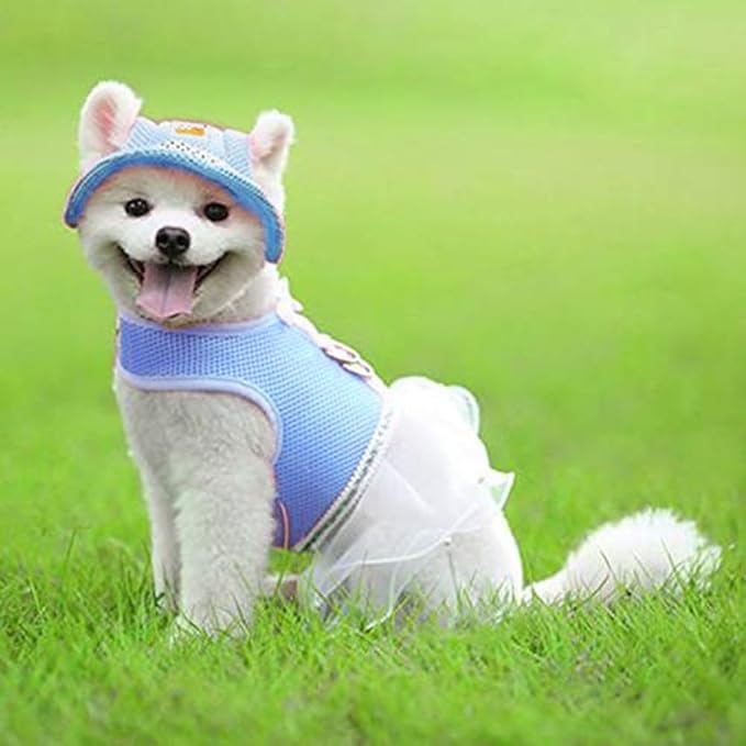 Leconpet Princess Pet Hat Dog Caps Hats with Neck Strap Adjustable Comfortable Ear Holes for Small Medium and Large Dogs in Ourdoor Sun Protection (L