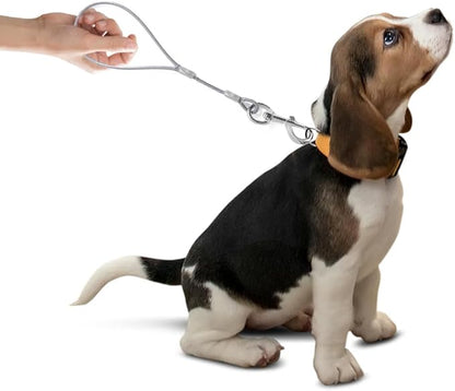 Short Dog Leash Duty-12”/24”Short Chew