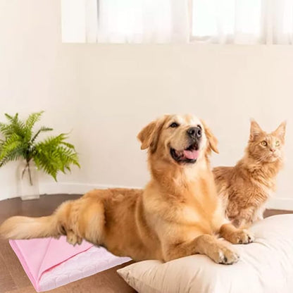 Dog Cooling Mat Foldable Pet Self Cooling Mat