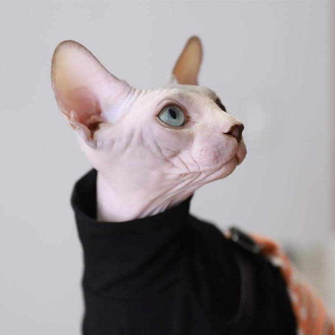 Sphynx Hairless Cat Cotton Tshirts Pet Clothes