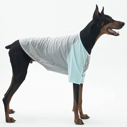 Dog Shirt for Small and Large Dogs Raglan Cotton T-Shirts Soft Breathable Dog Shirts pet Clothes Gray Series (4X-Large