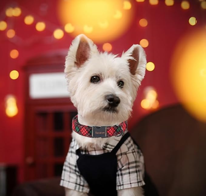 Unique style paws Dog Collar Metal Buckle Collar