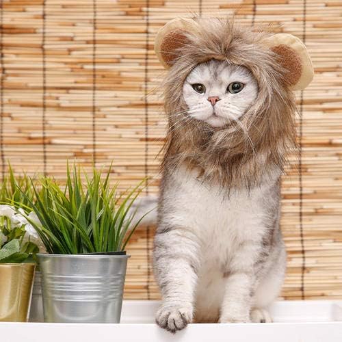 NAMSAN Lion Mane for Cat Small Dog Halloween