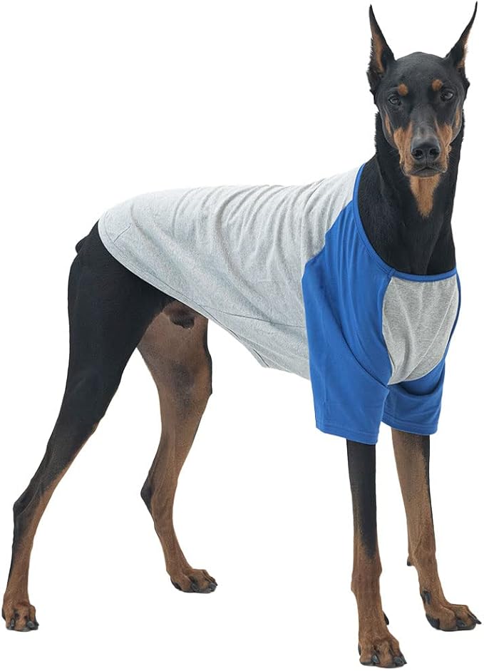 Dog Shirt for Small and Large Dogs Raglan Cotton T-Shirts Soft Breathable Dog Shirts pet Clothes Gray Series (3X-Large