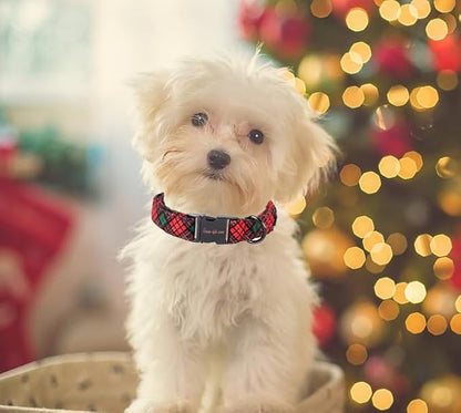 Unique style paws Dog Collar Metal Buckle Collar