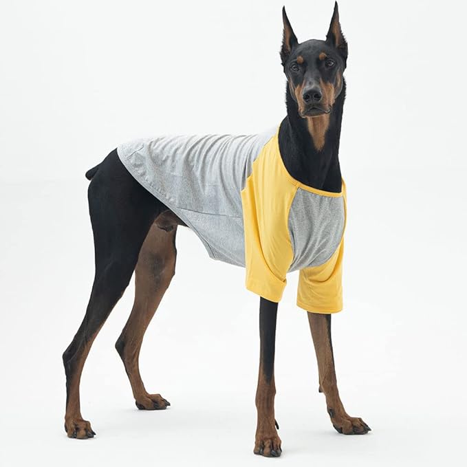 Dog Shirt for Small and Large Dogs Raglan Cotton T-Shirts Soft Breathable Dog Shirts pet Clothes Gray Series (2X-Large