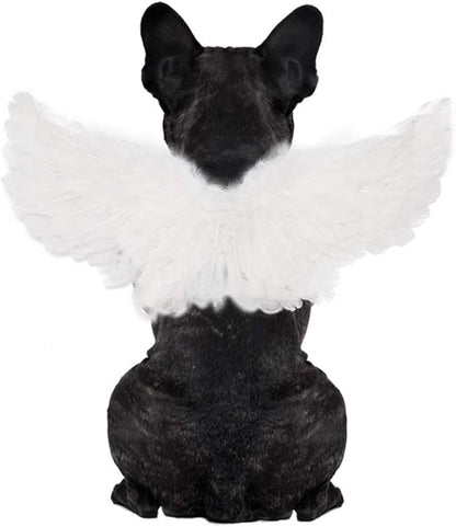 WeeH Pet Halloween Costume Cosplay Angel Devil Black White Wing for Dog Cat Rabbit Piggy - Funny Gift at Halloween Party Anime Theme Birthday Christmas (White, Small)