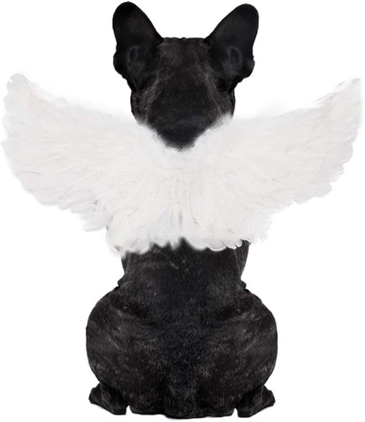 WeeH Pet Halloween Costume Cosplay Angel Devil Black White Wing for Dog Cat Rabbit Piggy - Funny Gift at Halloween Party Anime Theme Birthday Christmas (White, Small)