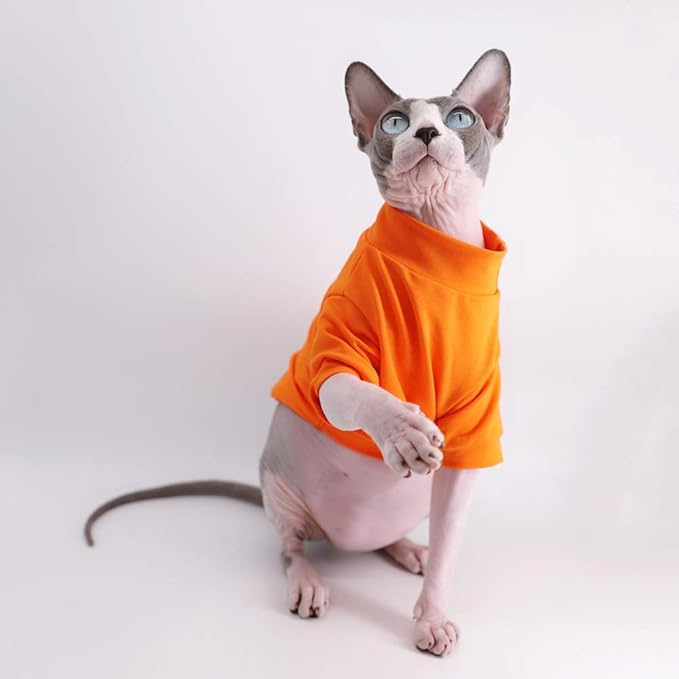 Sphynx Hairless Cat Cotton Tshirts Pet Clothes (8.8-11 lbs),