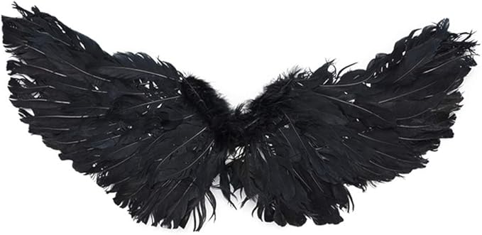 WeeH Pet Halloween Costume Cosplay Angel Devil Black White Wing for Dog Cat Rabbit Piggy - Funny Gift at Halloween Party Anime Theme Birthday Christmas (Black, Small)