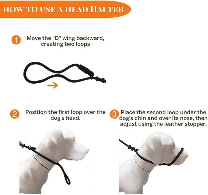 Slip Leads for Dogs (5 Foot 3/16")