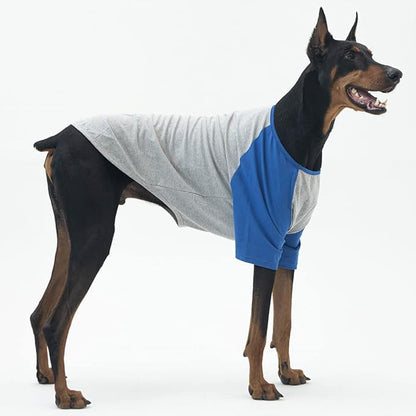 Dog Shirt for Small and Large Dogs Raglan Cotton T-Shirts Soft Breathable Dog Shirts pet Clothes Gray Series (3X-Large