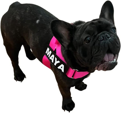 BULLHUG Harness – Made for Larger Chested Dogs Like English Bulldogs