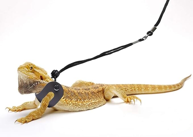 Bearded Dragon Harness and Leash Adjustable(S,M,L, 3 Pack) - Soft Leather Reptile Lizard Leash for Amphibians and Other Small Pet Animals