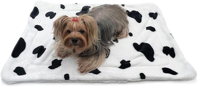 Klippo Double Layered Ultra Plush Dog/Puppy Blanket/Mat/Padding/Cover/Throw/Spread (Moo Cow, Small)