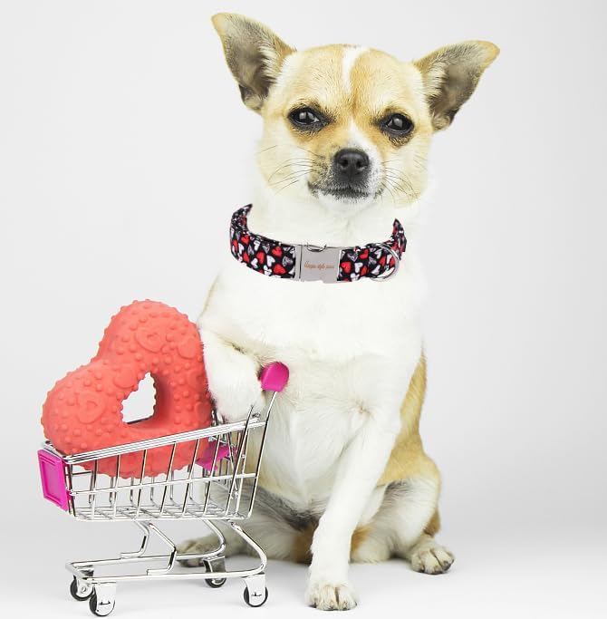 Unique Style Paws Valentine's Day Dog Collar Heart