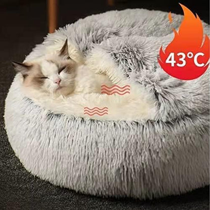 Cat Bed