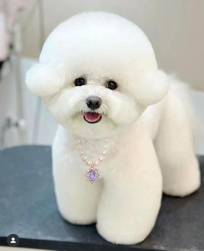 Pearl Dog Collar Elegant Oval Crystal Rhinestone Necklace Pet Jewelry for Cats Small Dogs Puppy Yorkie Chihuahua Cat Wedding Collar (Violet