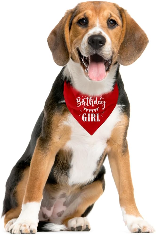 Birthday Girl Dog Bandana (D34)