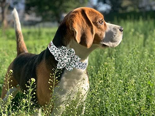 Elegant little tail Christmas Dog Collar