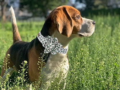 Elegant little tail Christmas Dog Collar