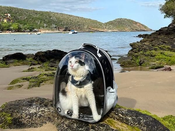 Cat Backpack Carrier