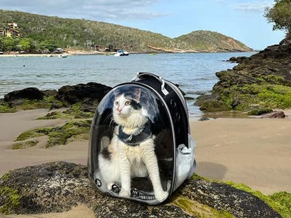 Cat Backpack Carrier