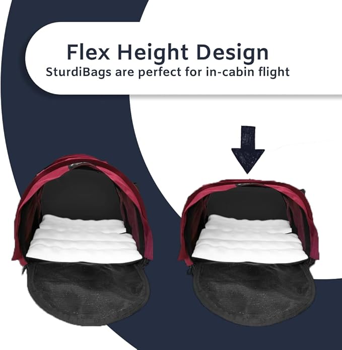 Divided SturdiBag X-Large Pet Carrier: Compartment for 2 Pets, Flexible Height for Cat and Dog Soft Sided with Safety Clips and Seatbelt Straps | Bordeaux, 20" x 16" x 12" (PN: SB3D-PRO-BX)