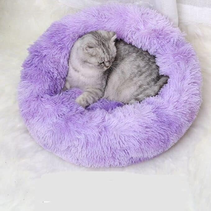 Cat Beds for Indoor Cats 20/24 inches,