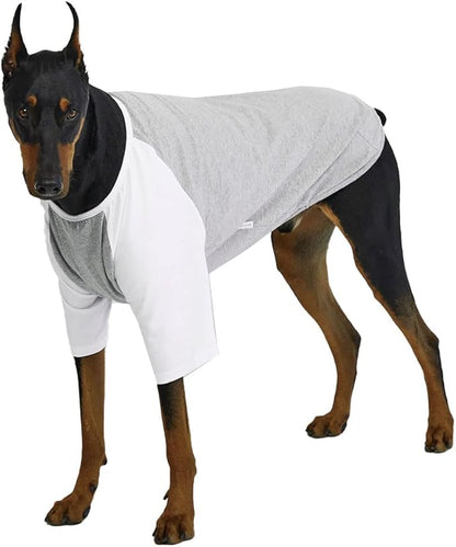 Dog Shirt for Small and Large Dogs Raglan Cotton T-Shirts Soft Breathable Dog Shirts pet Clothes Gray Series (3X-Large