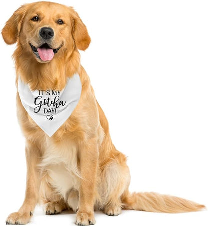 It's My Gotcha Day Dog Bandana, White Dog Bandana, Happy Gotcha Day, Dog Adoption Day, Pet Bandanas, Accessories for Dog Lover, Adoption Day Gifts, Pet Scarf (C54)
