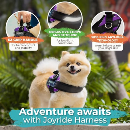 Joyride Harness 2.0 - The Original Side Ring No Pull Dog Harness - No Choke, Escape Proof, Reflective, 3 Leash Clips, Quick Fit Pet Vest - Easy Walks & Training - for Small, Medium & Large Dogs