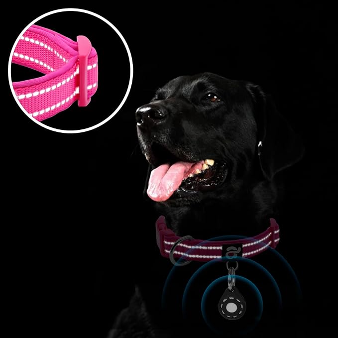 azuza Reflective Dog Collar with Airtag Holder