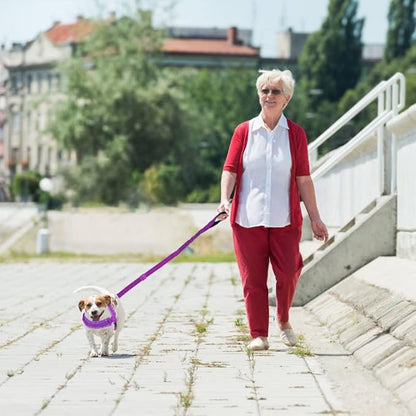 Lukovee Dog Harness and Leash Set, Soft Padded Small Dog Harness, Neck & Chest Adjustable Reflective Vest Puppy Harness with 4ft Lightweight Anti-Twist Dog Leash for Small Dogs (Small, Purple)