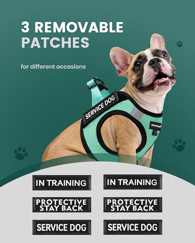 FAYOGOO Service Dog Vest for Medium Breed - Lightweight Dog Harness with 6PCS Removable Patches - Puppy Harness and Leash Set for Walking,Training